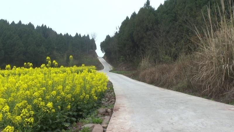 三台县潼川镇:聚焦服务群众 增强群众获得感幸福感