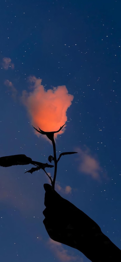 苹果12高清小清新壁纸|落俗的小众壁纸