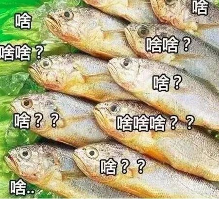 表情包:自鱼头的深情呼唤