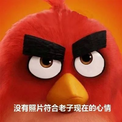 表情包没有照片符合老子现在的心情