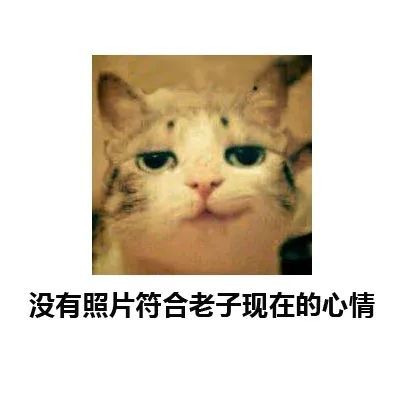 表情包没有照片符合老子现在的心情