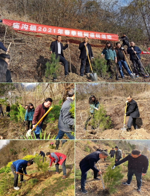 王河镇人口_潜山先锋网(3)