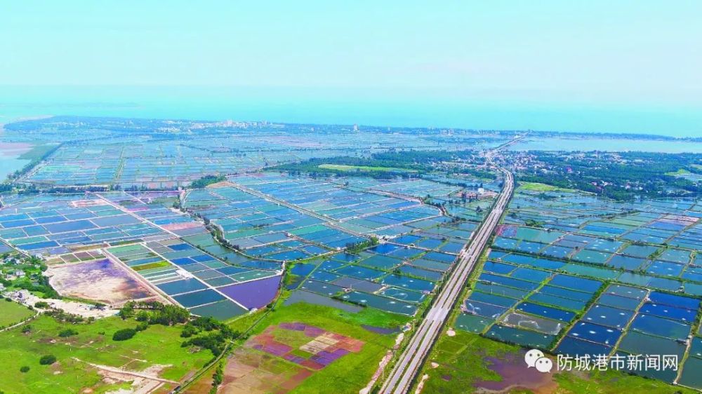 2020年防城港市上思县gdp_广西这8个县要发达了 快来给你家乡投一票