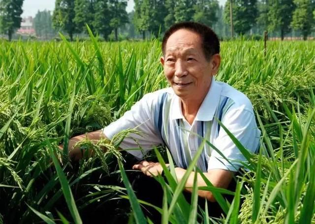 印度 人口 粮食_印度人口图片