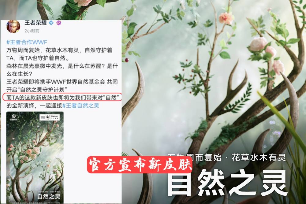 瑶wwf联动皮肤官宣,提前准备1430点券,巴宝莉联动另有