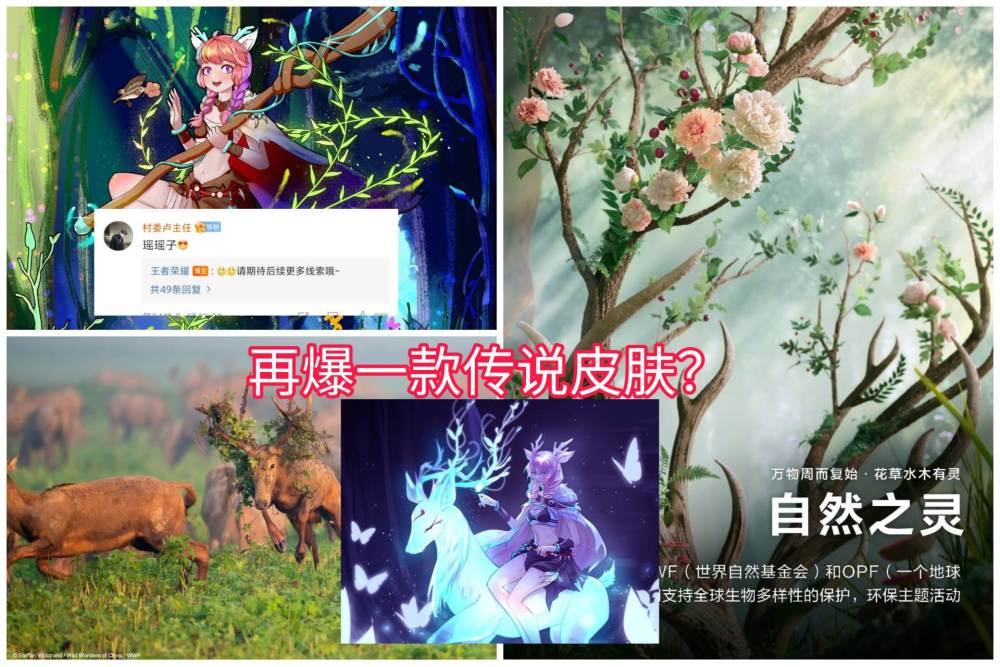 王者荣耀:巴宝莉新皮肤已经确认,瑶瑶公主三方联名?19
