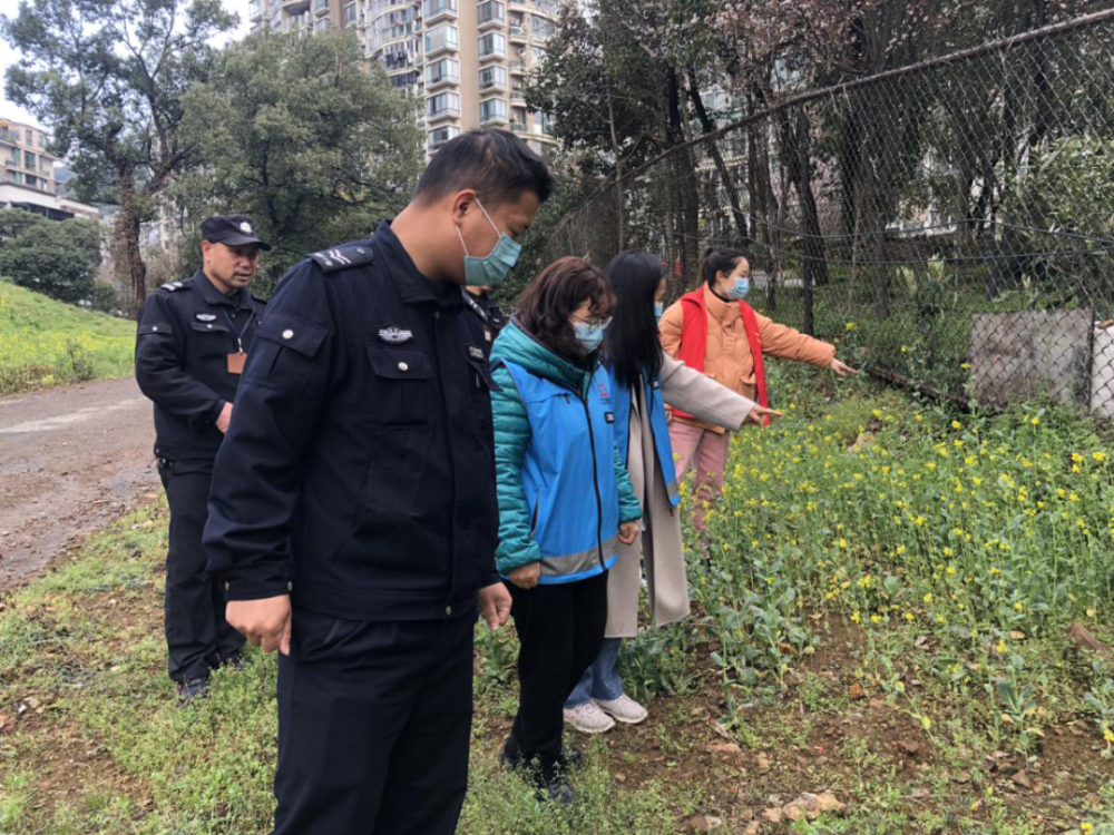 大好春光,误种罂粟,查!