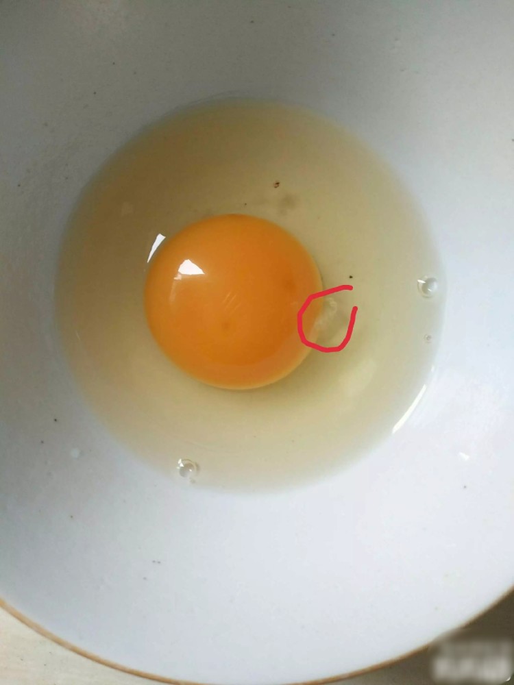 鸡蛋白絮是什么?可以吃吗?
