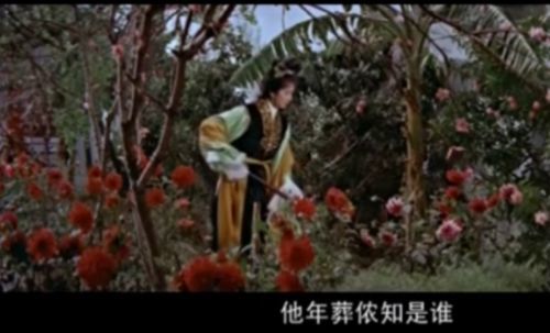 1977年香港电影版《金玉良缘红楼梦,张艾嘉扮演林黛玉.