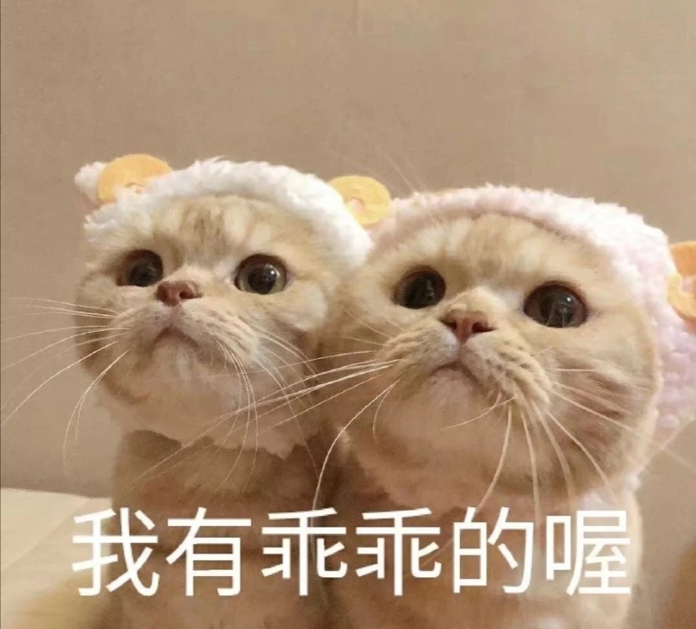 有了这些表情包,你还担心把天聊死吗?