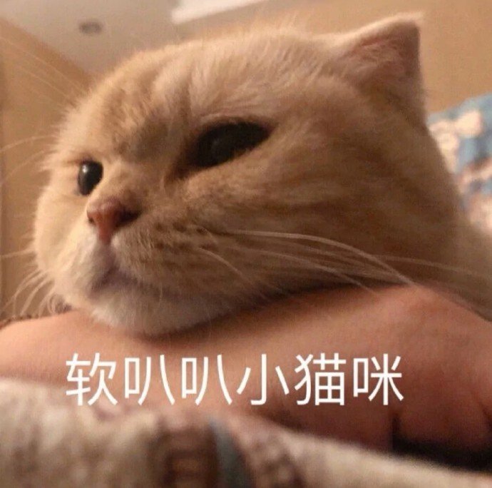 搞笑可爱表情包软趴趴小猫咪