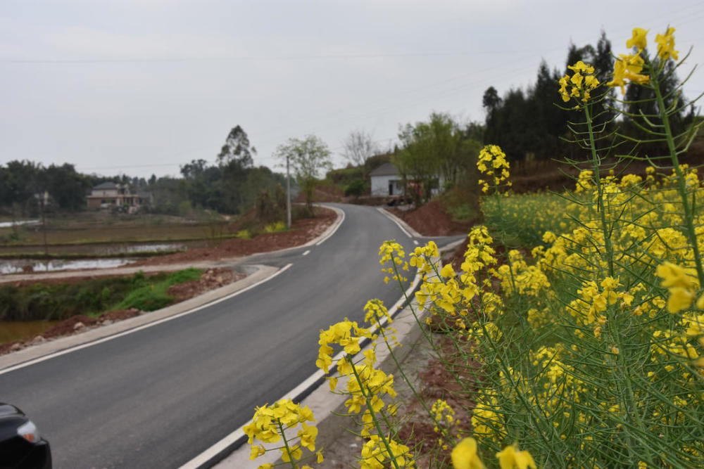 3月15日,在四川自贡荣县与乐山交界的东佳镇石庄村,工程机械正在越溪