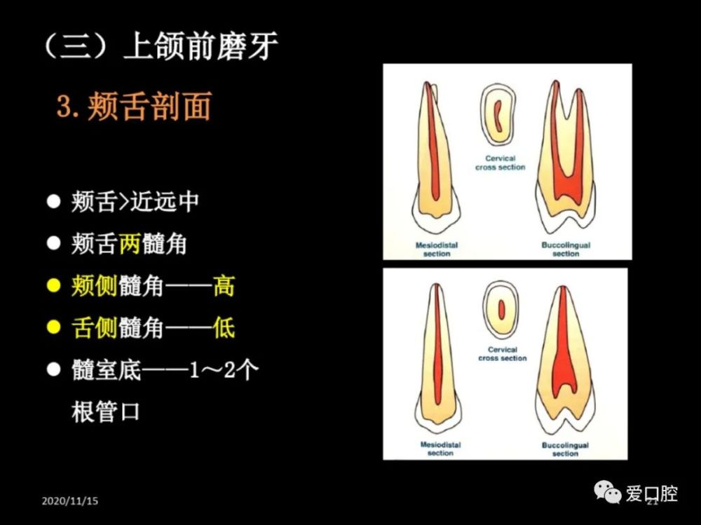 往期推荐 恒牙解剖形态讲解 无牙颌解剖标志 干槽症的治疗方法 颌