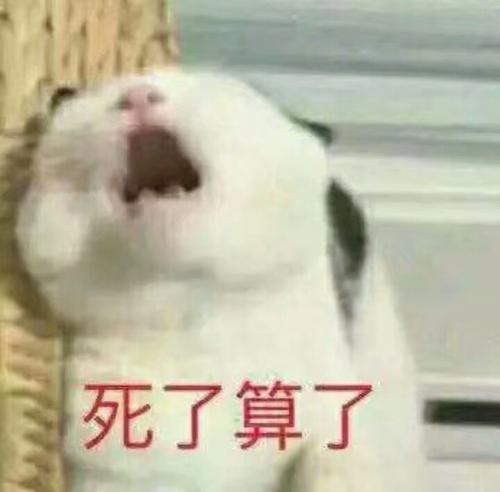 表情包:猫抓掏心