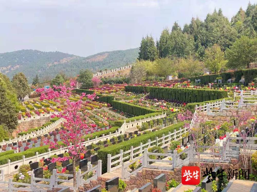 【紫牛头条】云南昆明推出"墓地按揭贷"?