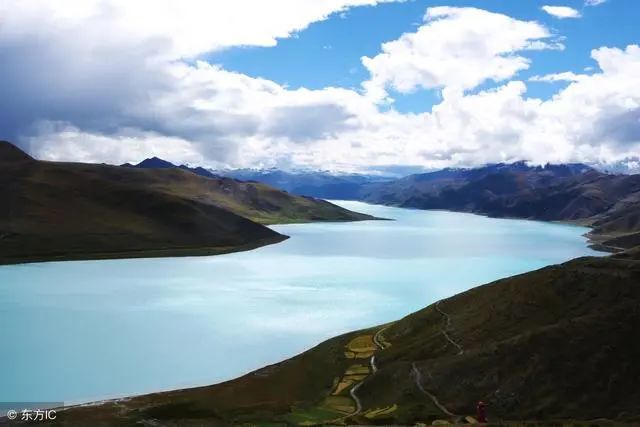 草什么门成语_草什么花什么成语(3)