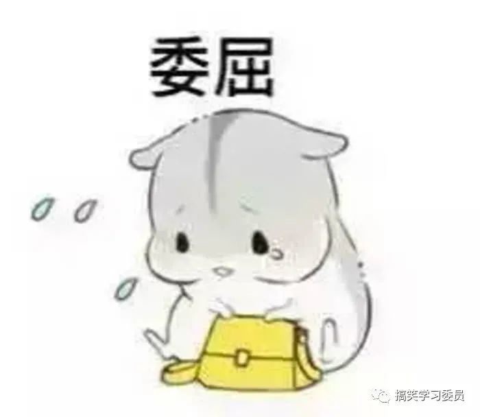 每日表情包:小仙女受不了这个委屈