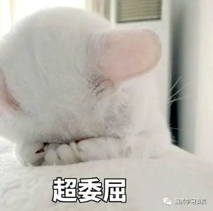 每日表情包:小仙女受不了这个委屈