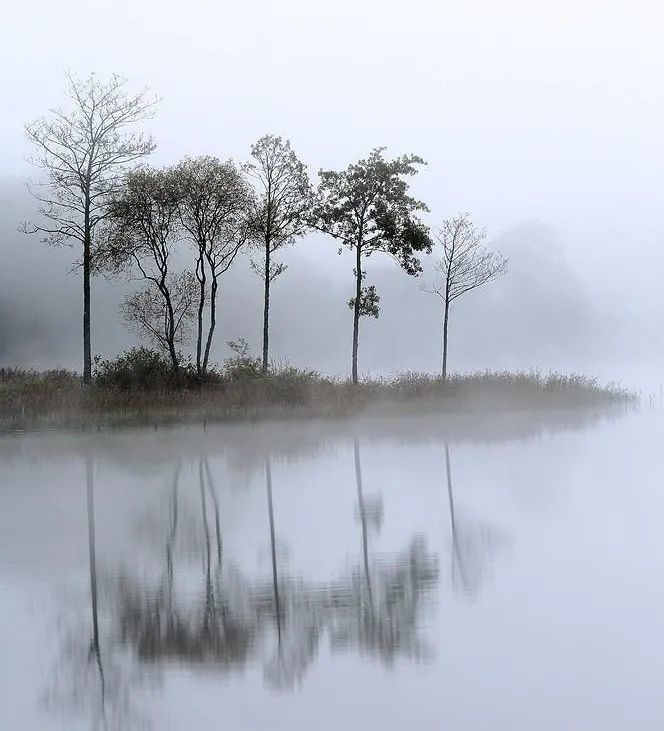 藜藿:年是起点,在此刻去怀念过去的时光|组诗