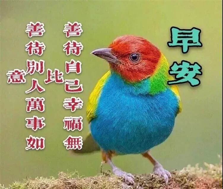 春天最美风景早安图片带字带祝福语 春日风景早上好图片带祝福语