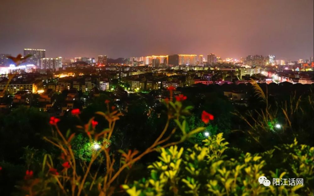 阳江市龙山公园美丽夜景!还能看到摩天轮!
