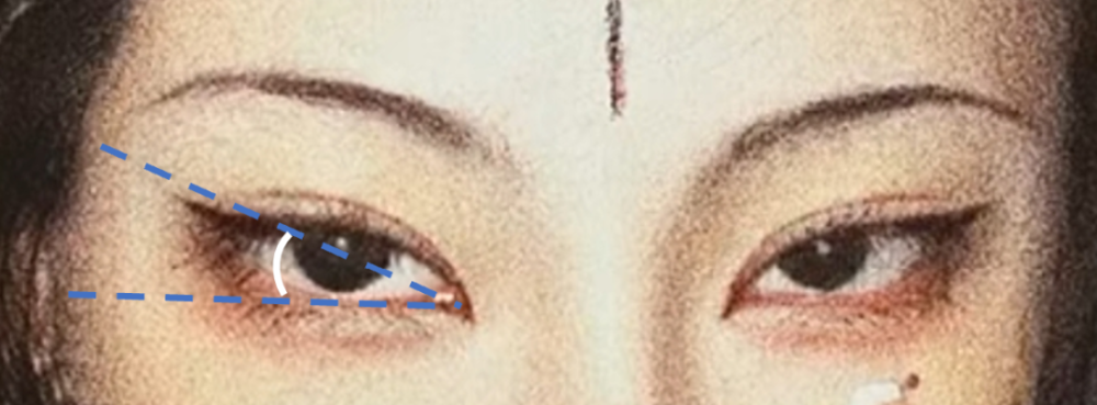 丹凤眼被誉为"最具东方美的眼型,有典型的蒙古人种特征,即内眼角尖勾
