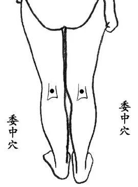 14. 四花中穴,四花外穴,点刺出血.