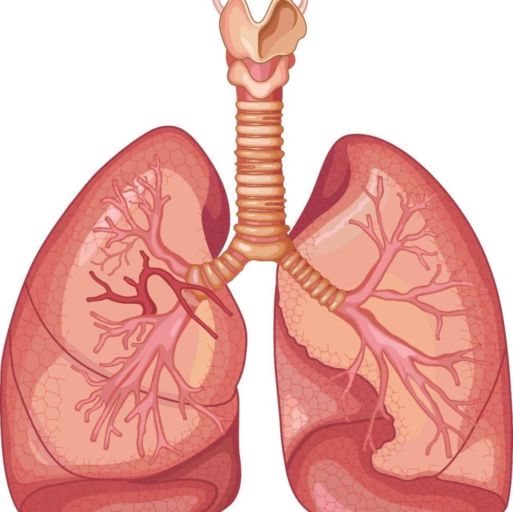 伤肺的食物有哪些?这3种食物名列前茅,为了肺脏健康,尽早远离