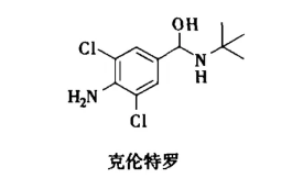 315曝光瘦肉精羊肉流向市场瘦肉精为何屡禁不止