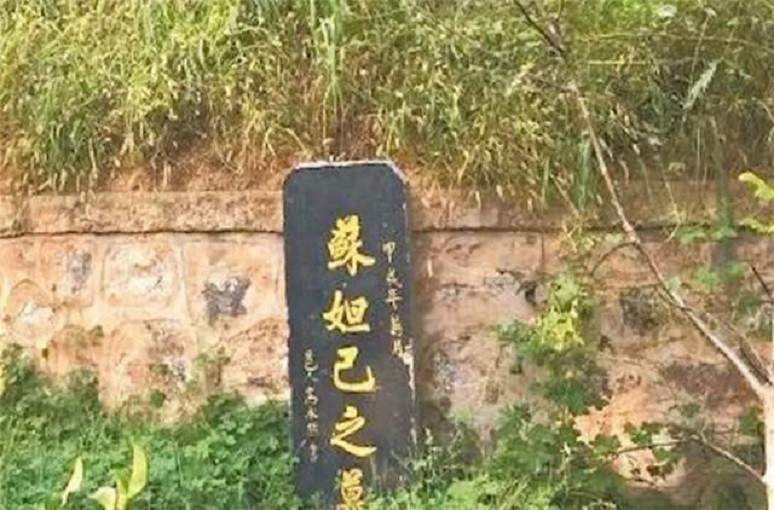 河南出土苏妲己墓,揭露其真实面目,专家:我们冤枉她3000年_腾讯新闻