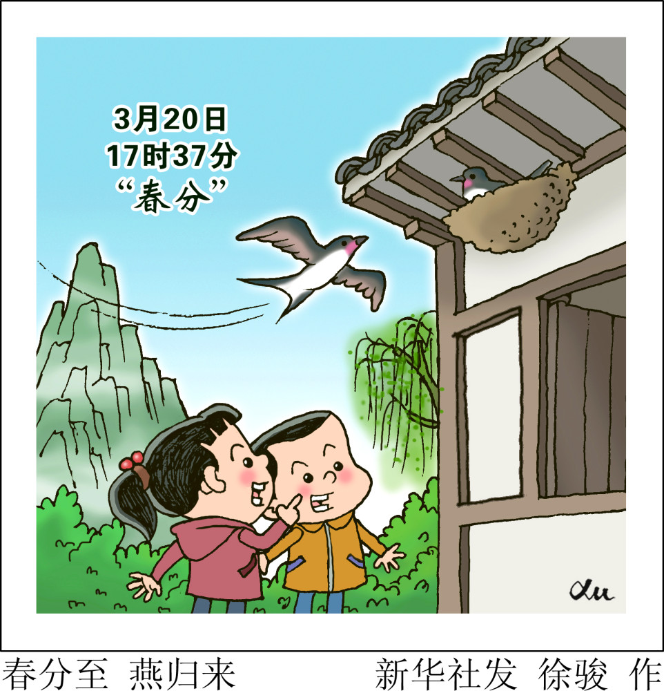 图表漫画二十四节气春分春分至燕归来