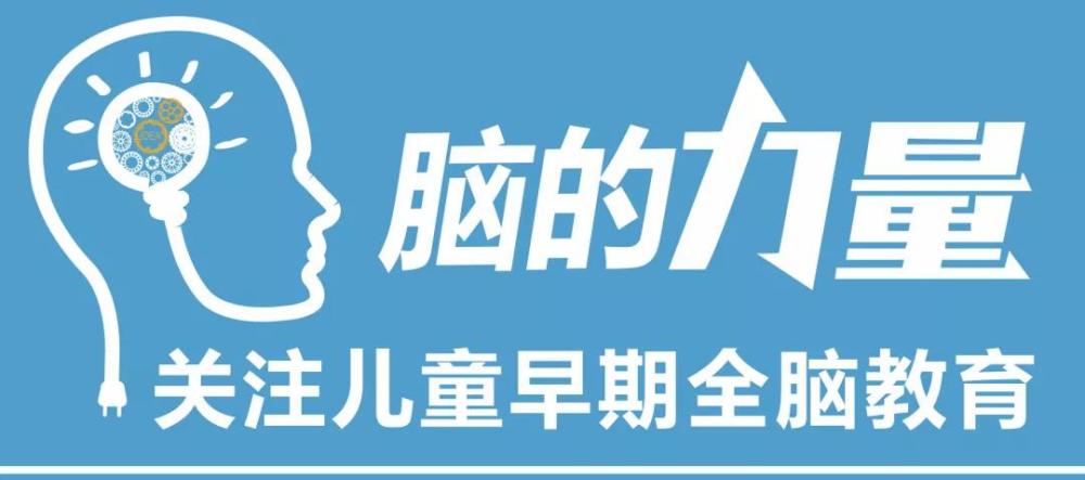 童力小课堂:什么是全脑教育?小学前家长必读!