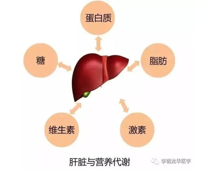 318爱肝日小心肝伴你健康