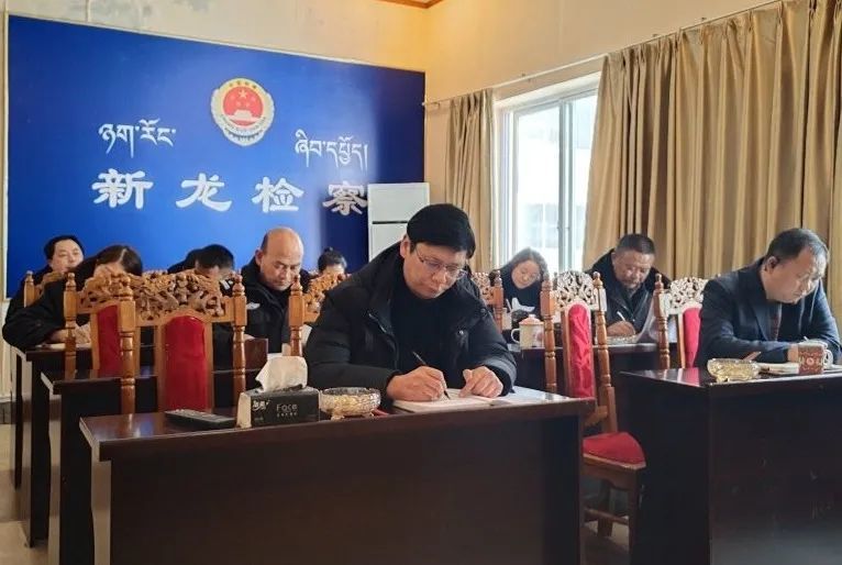 教育整顿新龙县人民检察院参加学习教育党史讲座视频会