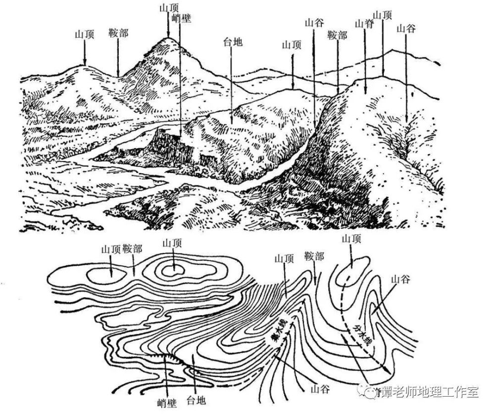 盆地或洼地;两个山顶中间的低地——鞍部;等高线弯曲部分向低处凸出