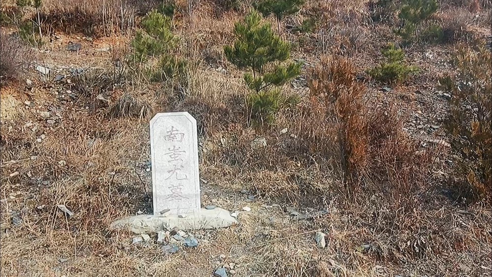 人口为立_我为人口普查代言绘画