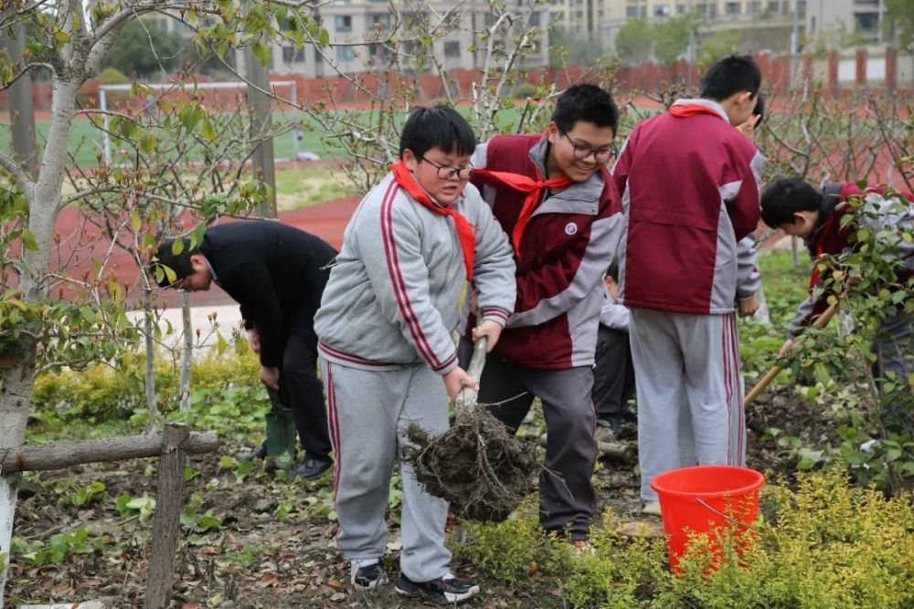 学校热点3金水苑中学春风十里植得一聚