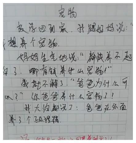 小学生奇葩搞笑作文老师看到估计也是要被气个半死