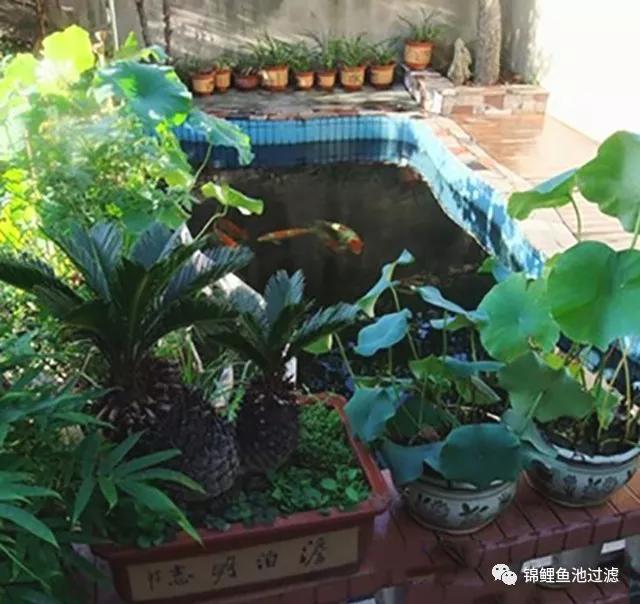 几款漂亮的阳台鱼池设计,请查收!