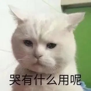 表情包|委屈小猫头