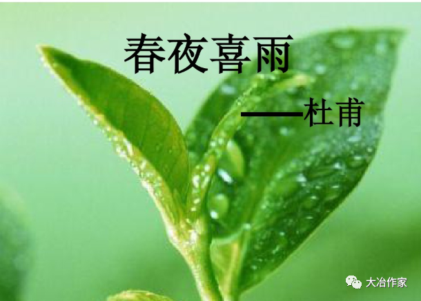 【诗歌在线】段兰姣:春夜喜雨