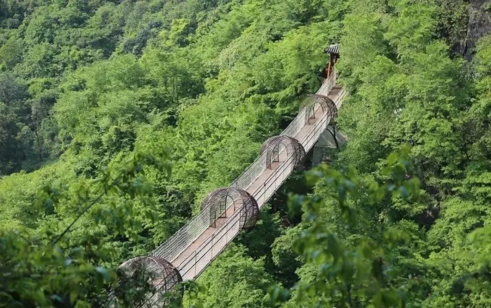 在柳州,你必须要打卡的十大网红地!