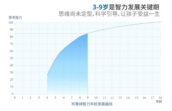 荷兰华人人口_华人在荷兰被荷兰人泼奶粉 专挑亚裔外表人泼洒(2)