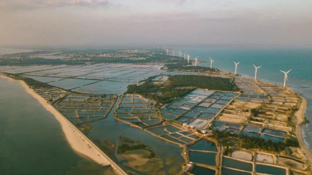 来徐闻,你还不能错过广东省最大的海边风力发电基地 新寮岛.