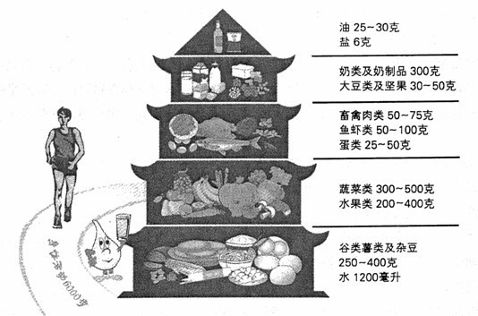 中国居民平衡膳食宝塔