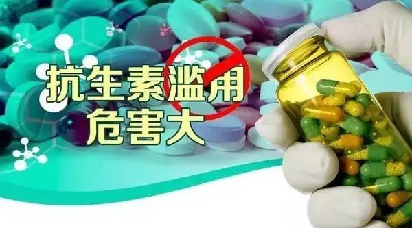 在日常生活中,有多少人能分辨出哪些药物属于抗生素呢?