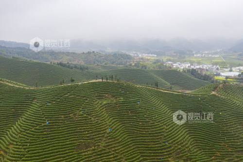 2021年江西瑞昌人口_2021年九江瑞昌市人民医院面向社会公开招聘11人