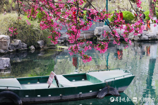 "泉城济南的春天,西府海棠,花香满园!"壹粉说.