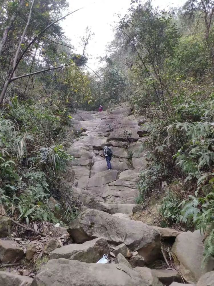 被称为重庆的"丝绸之道" 古道两旁古木参天 歌乐山步道起点位于白公馆