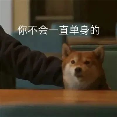 yyds≠永远的神?=永远单身?